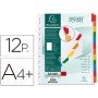 Separador Exacompta Cartolina Branco Conjunto de 12 Separadores Pestanas Coloridas A4+ Multiperfurado