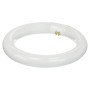 Lâmpada Circular 22W 230V 1200Lm