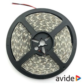 Fita 600 Leds 2835 6400K 12V 5M Ip65 Avide