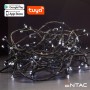 Grinalda 120 Led 3000K App Tuya 220V 9M