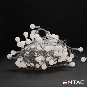 Grinalda 120 Leds 6400K 220V 9Mt