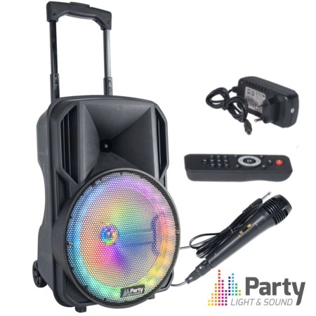 Coluna Amplificada 10" 600W Usb/Bt/Sd/Aux/Bat Preta Party