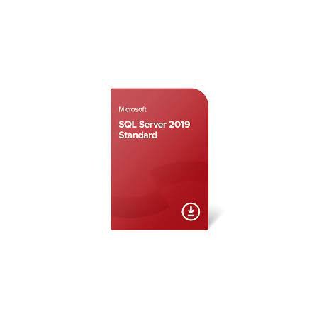 Microsoft SQL Server Standard 2019 - ESD