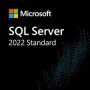 Microsoft SQL Server Standard 2022 - ESD