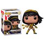 Funko Pop Dc Estado Futuro Yara Flor Estado Futuro 60100