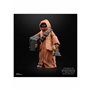 Figura Hasbro Teeka (Jawa) Star Wars Black Series