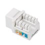 Lanberg cat 5e utp rj45 conector trapezoidal de 90 graus