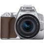 Câmera reflex digital Canon eos 250d+ef - s 18 - 55mm f - 4 - 5.6 is stm - 24.1mp - digic 8 - 4k - wi-fi - bluetooth - prata
