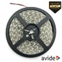 FITA 300 LEDS 2835 4000K 12V 5M IP65 AVIDE