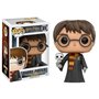 Funko pop harry potter harry potter com hedwig exclusivo 11915