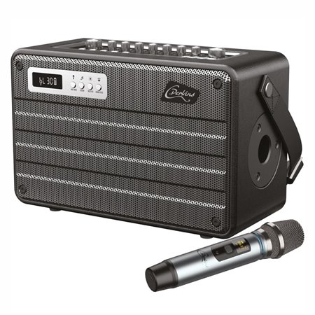 Coluna AMPlificada All-In-One 100W c/ Microfone UHF