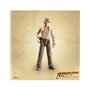 Figura da série Hasbro Indian Jones Adventure - Indiana Jones Temple of Doom