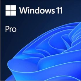 Microsoft Windows 11 Professional Licença OEM - ESD Microsoft Windows 11 Professional Licença OEM - ESD