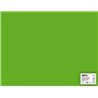 Apli Grama Verde Cartolina 50 x 65cm 170g 25 Folhas