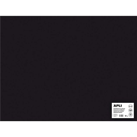 Apli Cartão Preto 50 x 65cm 170g 25 Folhas