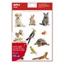 Apli Realistic Pet Themes Gomets - 132 Gomets em 12 folhas - Adesivo removível - Ideal para desenvolver habilidades motoras - No