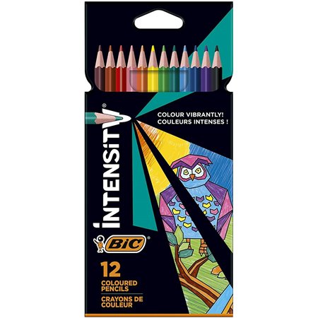 Caixa Bic Intensity Color Up com 12 lápis triangulares em cores sortidas - Feito de resina - Chumbo ultrarresistente de 3,20 mm