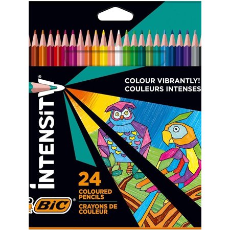 Caixa Triângulo Bic Intensity com 24 Lápis de Coloração Triangulares - Chumbo 3,20mm - Fabricado sem Madeira - Cores Sortidas