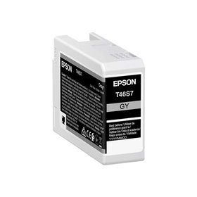 Tinteiro original Epson T46S7 cinza - C13T46S700