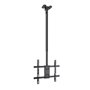 Soporte de Techo Giratorio/ Inclinable/ Nivelable TooQ LPCE1175TSLI-XL-B para TV de 32-75"/ hasta 60kg