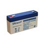BATERIA CHUMBO 6V 1.3A