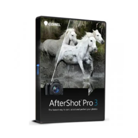 Corel AfterShot Pro 3 ESD Permanente PC - Chave de Ativação