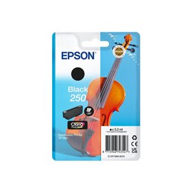 Epson 250 Negro Cartucho de Tinta Original - C13T16N14010
