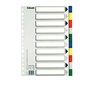 Esselte 713 Pacote com 10 divisórias plásticas - 10 abas / 5 cores - Multifuros - Formato fólio