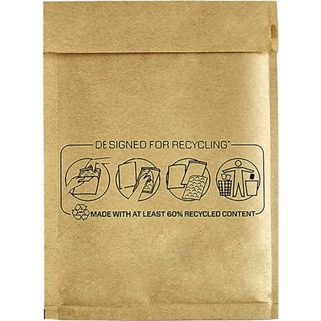 Caixa Fellowes Bankers com 100 Sacos de Bolhas Acolchoados 15x21cm - Bolhas Internas para Amortecimento - Fecho Autoadesivo - Di