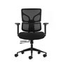 Cadeira de escritório ergonômica Oqonos Cherg 012 com encosto e assento em tela elástica, apoios de braço 4D, assento deslizante
