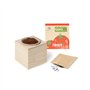 Grow your Garden Tomate Ambarscience