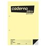 Caderno Diário B5 25x17,6cm Quadriculado 60g 40Fls 1un