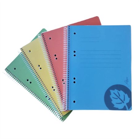 Caderno Espiral A5 Pautado Platanus Sortido 100Fls