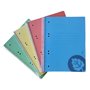 Caderno Espiral A5 Pautado Platanus Sortido 100Fls