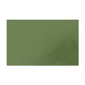Placa de Cor Musgami Verde Musgo 50x70cm 1un