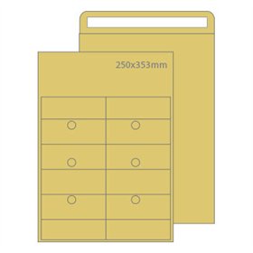 Envelopes Saco Correio Interno 250x353mm Kraft 10un