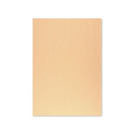 Cartolina 50x65cm Papaia 6 180g 1 Folha