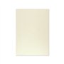 Cartolina 50x65cm Cinzento 9 180g 1 Folha