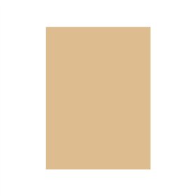 Cartolina 50x65cm Castanho Camurca 4D 180g 1 Folha