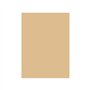 Cartolina 50x65cm Castanho Camurca 4D 180g 1 Folha
