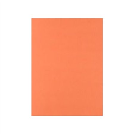 Cartolina 50x65cm Laranja Forte 6F 180g 1 Folha