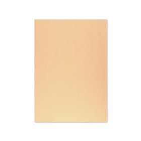 Cartolina 50x65cm Papaia 6 250g 1 Folha