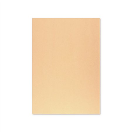 Cartolina 50x65cm Papaia 6 250g 1 Folha