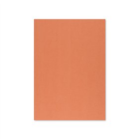 Cartolina 50x65cm Laranja Forte 6F 250g 1 Folha