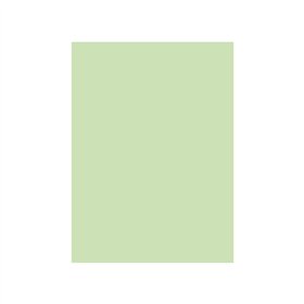 Cartolina 50x65cm Verde CLA 3 250g 1 Folha