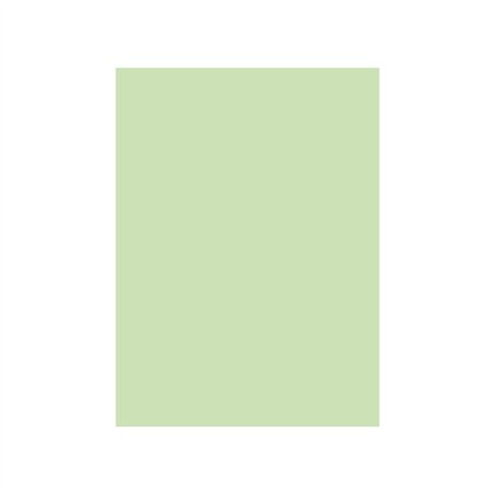 Cartolina 50x65cm Verde CLA 3 250g 1 Folha
