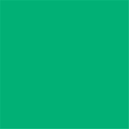 Cartolina A4 Verde Hortelã Menta 185g Canson 50 Folhas