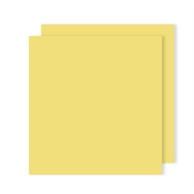 Cartolina A4 Amarelo Limão 185g 50 Folhas Canson
