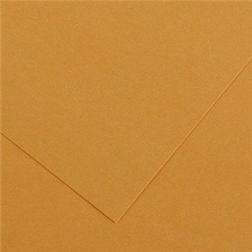 Cartolina 50x65cm Couro 185g 1 Folha Canson