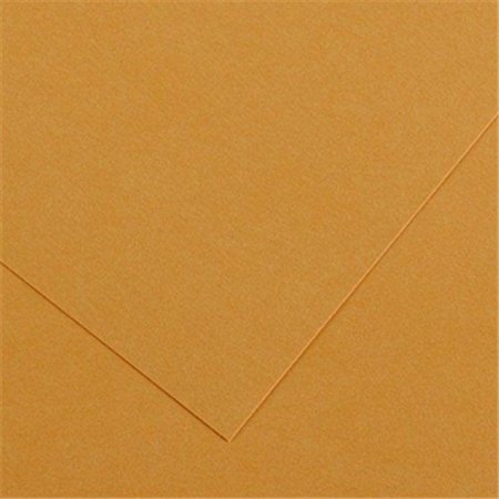 Cartolina 50x65cm Couro 185g 1 Folha Canson